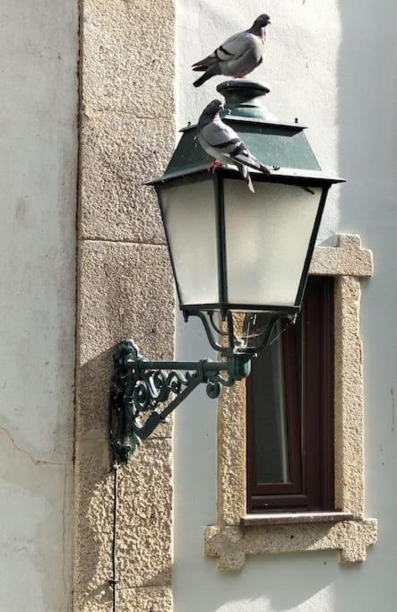 Appartamento Loft In The Historic Center Of Oporto Downtown Esterno foto