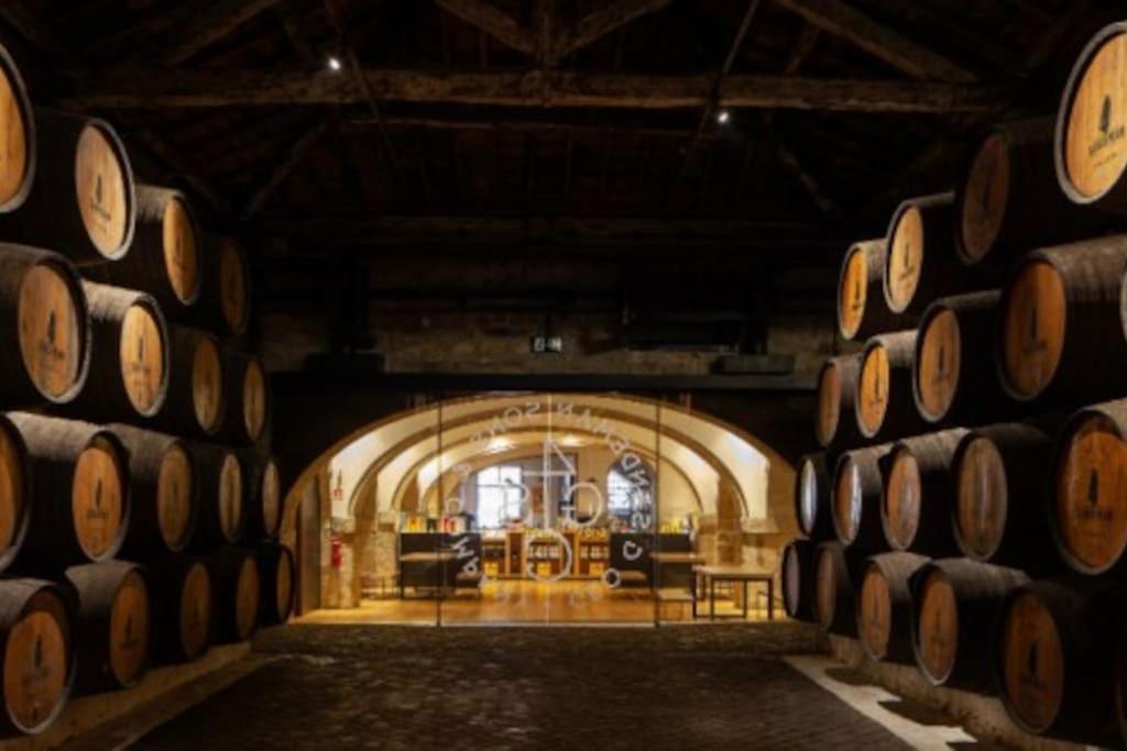 Appartamento Loft In The Historic Center Of Oporto Downtown Esterno foto
